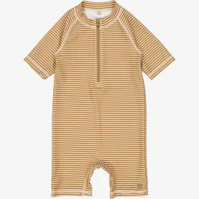 Swimsuit Cas - golden green stripe